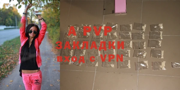 шишки Няндома