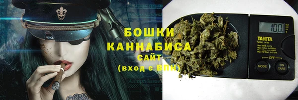 шишки Няндома