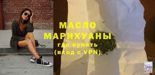 шишки Няндома