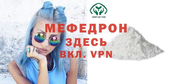 шишки Няндома