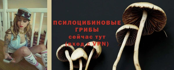 а пвп мука Нягань