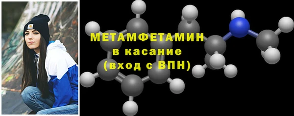 шишки Няндома