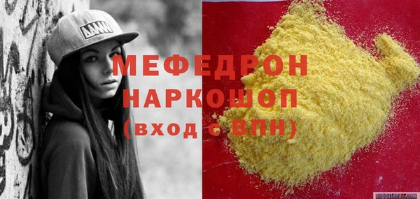 шишки Няндома