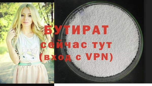 шишки Няндома