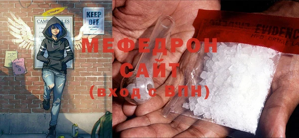 шишки Няндома