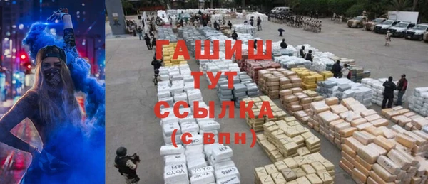 шишки Няндома