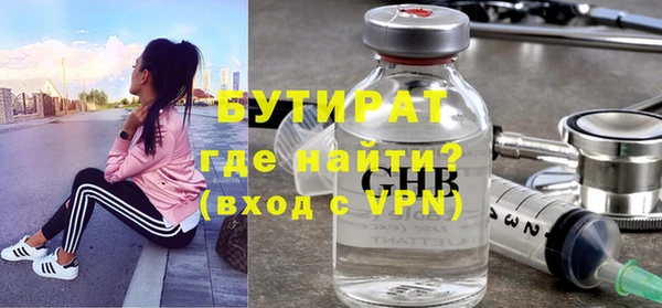 шишки Няндома