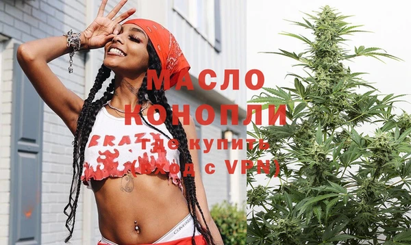 шишки Няндома