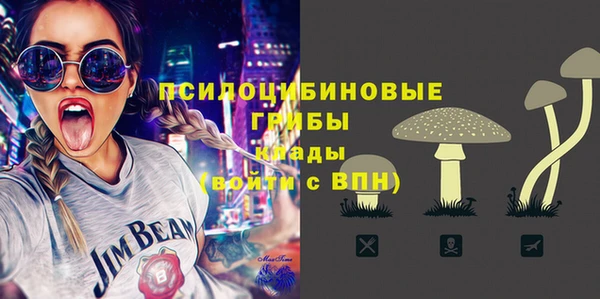 прущая мука Осташков