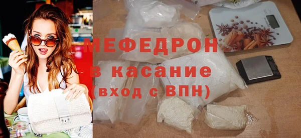 шишки Няндома