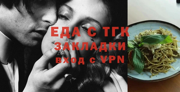 шишки Няндома