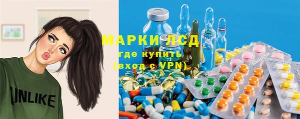 шишки Няндома