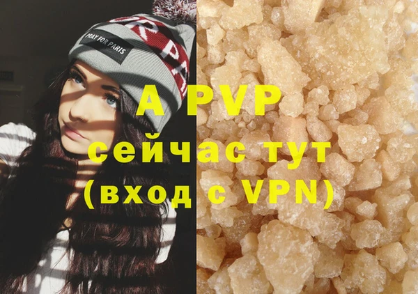шишки Няндома