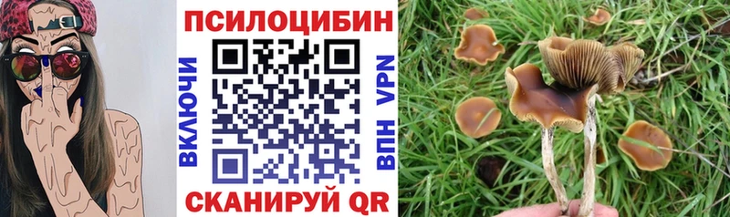 Галлюциногенные грибы Magic Shrooms  kraken зеркало  Рассказово 